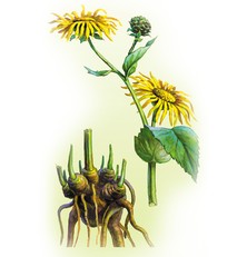 Девясил, 200 гр