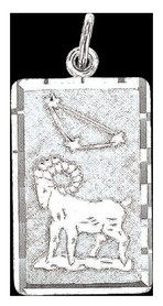 Подвеска знак Зодиака