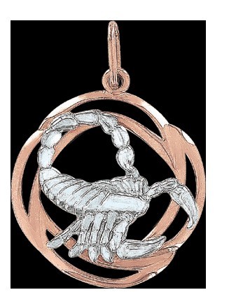 Anhänger Sternzeichen Skorpion