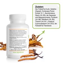 Cordiceps, 60 Kapseln