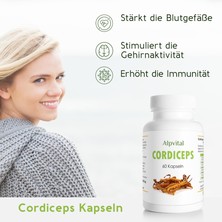 Cordiceps, 60 Kapseln
