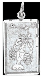 Подвеска знак Зодиака