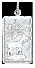 Подвеска знак Зодиака