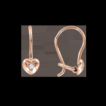 Ohrhänger mit Zirkonia