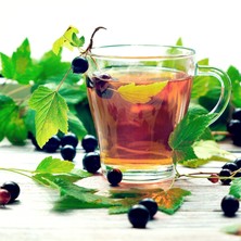 Schwarze Johannisbeerblätter