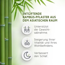 Пластырь очищающий"Киноки"