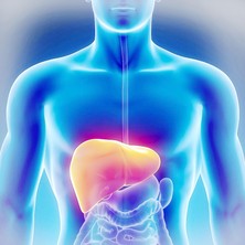 Сбор для очищения печени