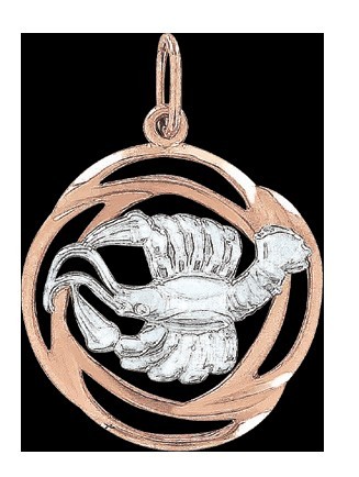 Anhänger Sternzeichen