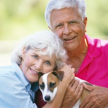 Сбор трав для почек