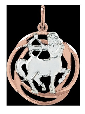 Anhänger Sternzeichen