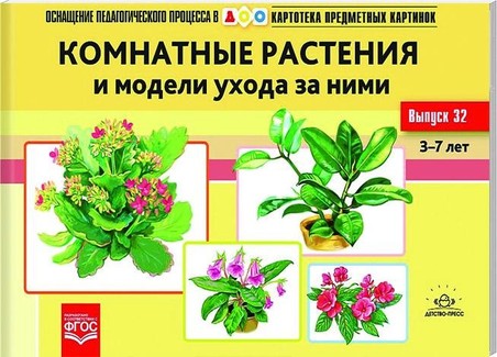 Комнатные растения и модели ухода за ними.