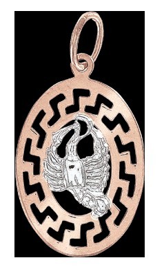 Anhänger Sternzeichen