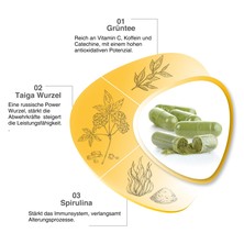 VH3 MEIN Starkes Immunsystem