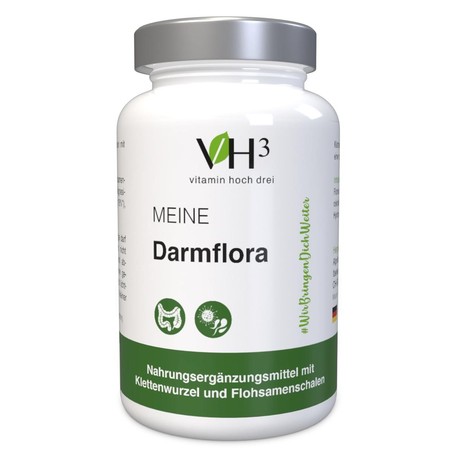 VH3 MEINE Darmflora