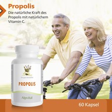 Propolis   