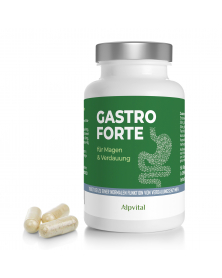 Gastro Forte 60 Kapseln