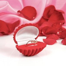 Schmuck-Geschenkbox / Muschel